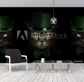 Picture of dark muzzle cat  in green hat and tie butterfly